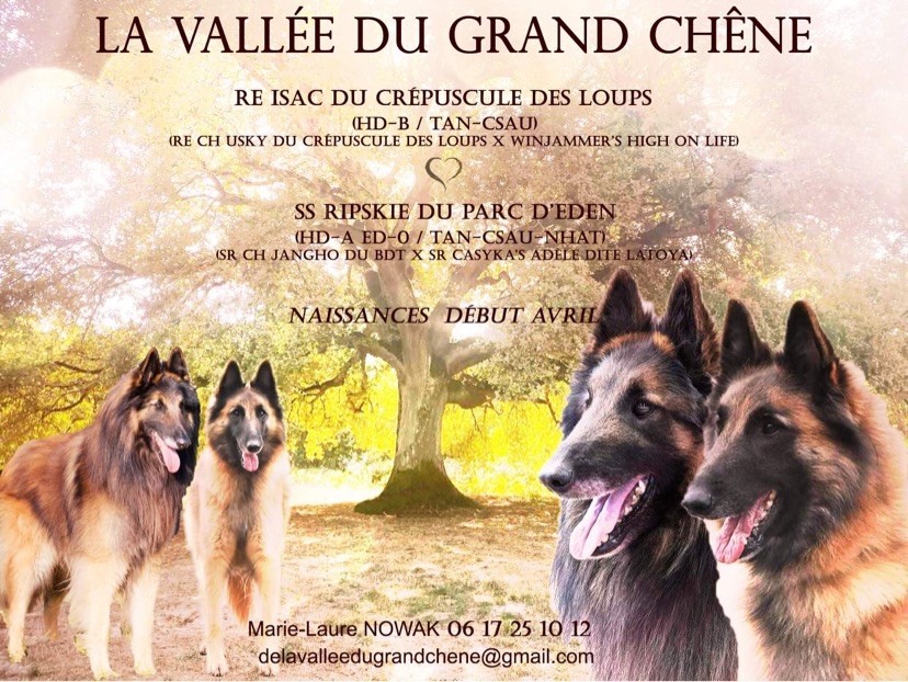 De La Vallée Du Grand Chêne - Naissance 